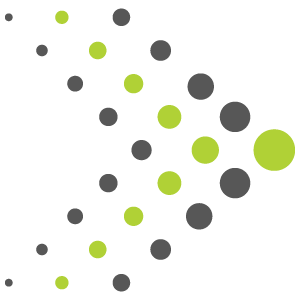 DigiState logo